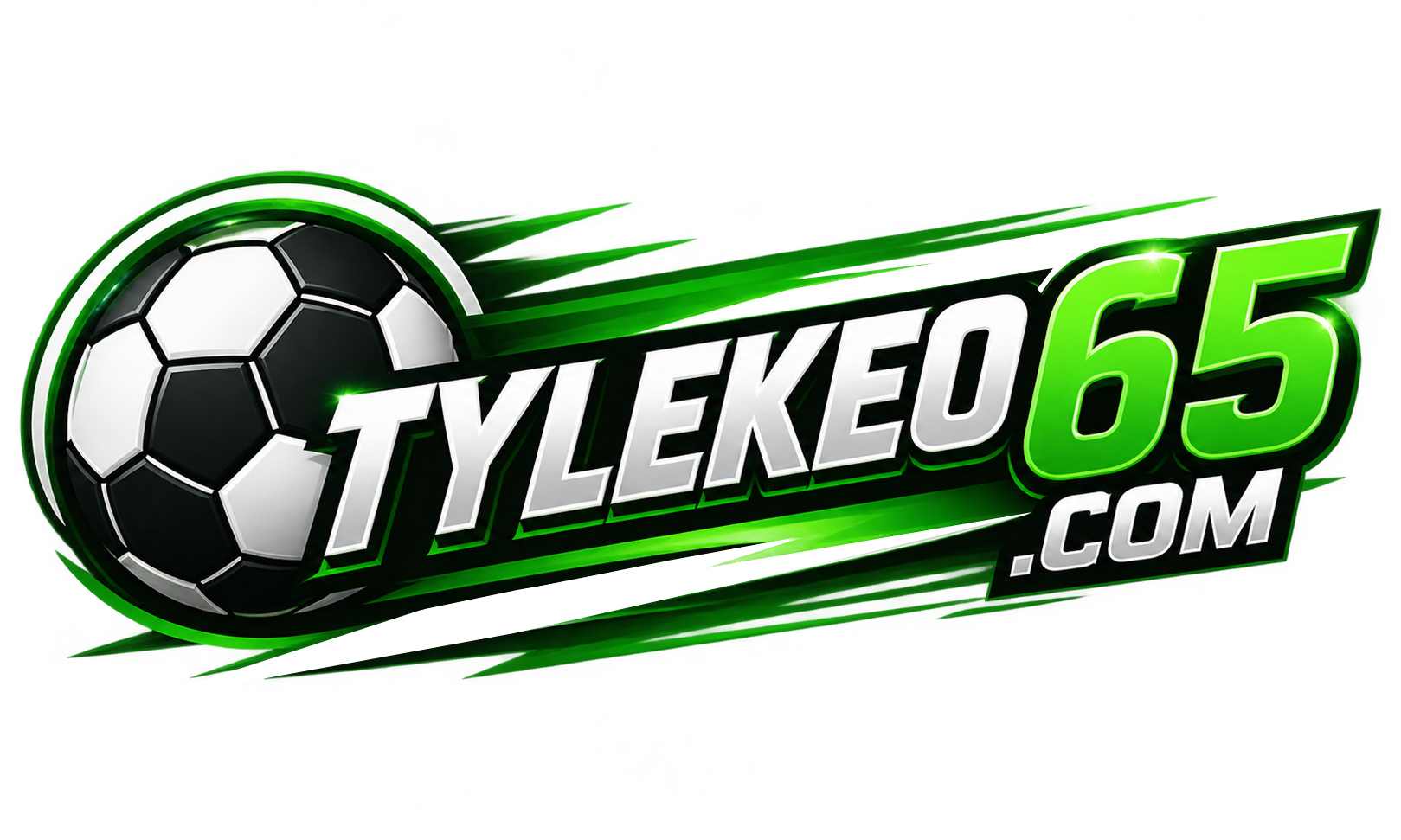logo tylekeo
